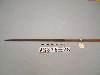 藏品(單鏃木箭)的圖片